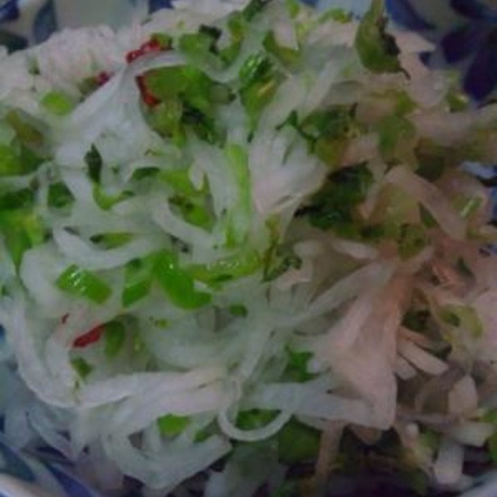 すぐ食べられる大根の浅漬け レシピ 作り方 By Pito0413 楽天レシピ すぐ食べられる大根の浅漬け レシピ 作り方 By Pito0413 楽天レシピ